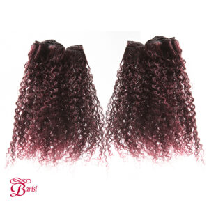 nobelGold_colT1B_118-_Barisi-5